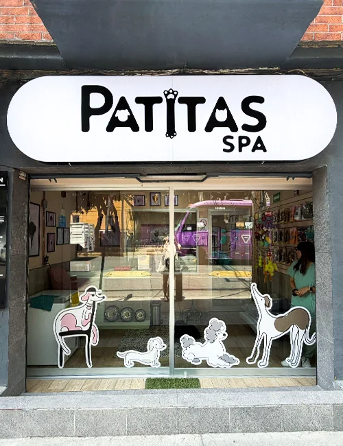 Spa para mascotas en Hipódromo Condesa