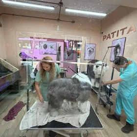 Espacio de cuidado para perros y gatos en Patitas Spa